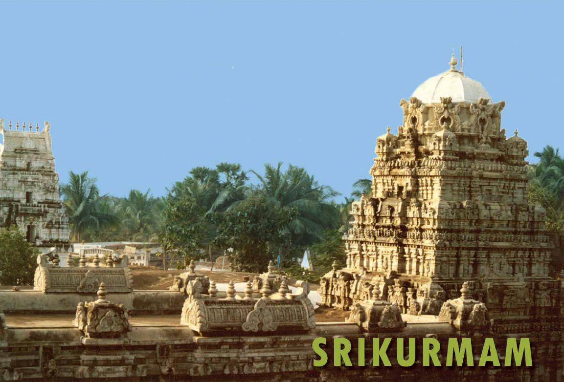 Brief History About kurmavatara, Kurmavatara Temple Srikurmam Srikakulam, Vishnu Kurmavataram Temple, Avatars of Lord Vishnu, Kurmavatara Story, Lord Vishnu Tortoise Incarnation